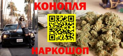 индика Можайск