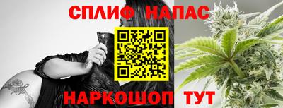 индика Можайск