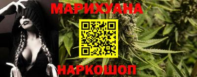 индика Можайск