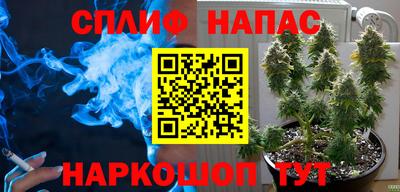 индика Можайск