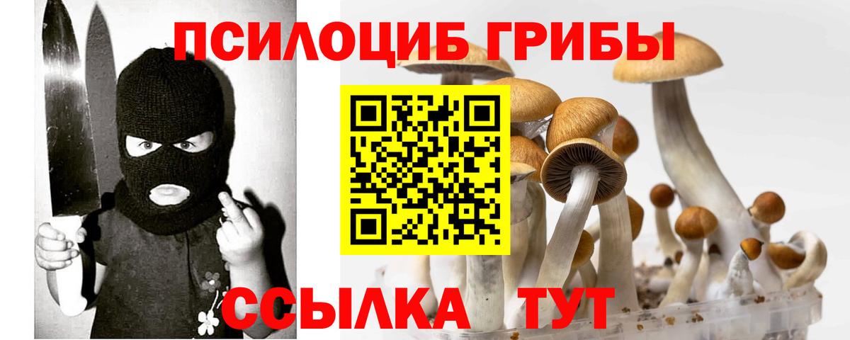 Тольятти  наркотики  Псилоцибиновые грибы Psilocybe  Вход с VPN  Псилоцибиновые грибы Psilocybine cubensis 